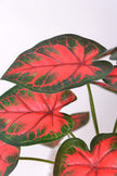 Artificial Red Taro Plant in Pot