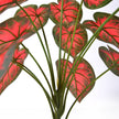 Artificial Red Taro Plant in Pot