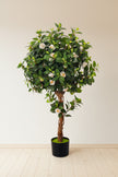 Artificial Camellia Tree with White Flowers and Realistic Trunk