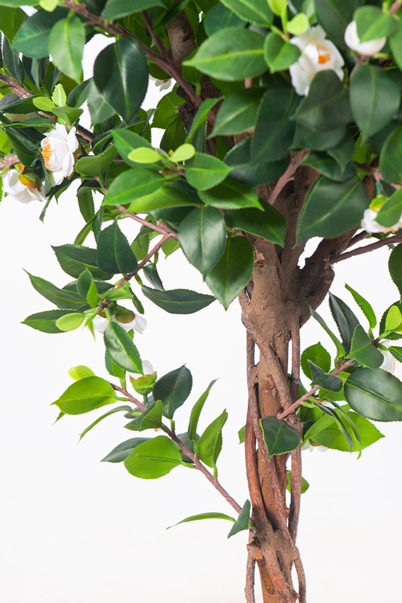 Artificial Camellia Tree with White Flowers and Realistic Trunk