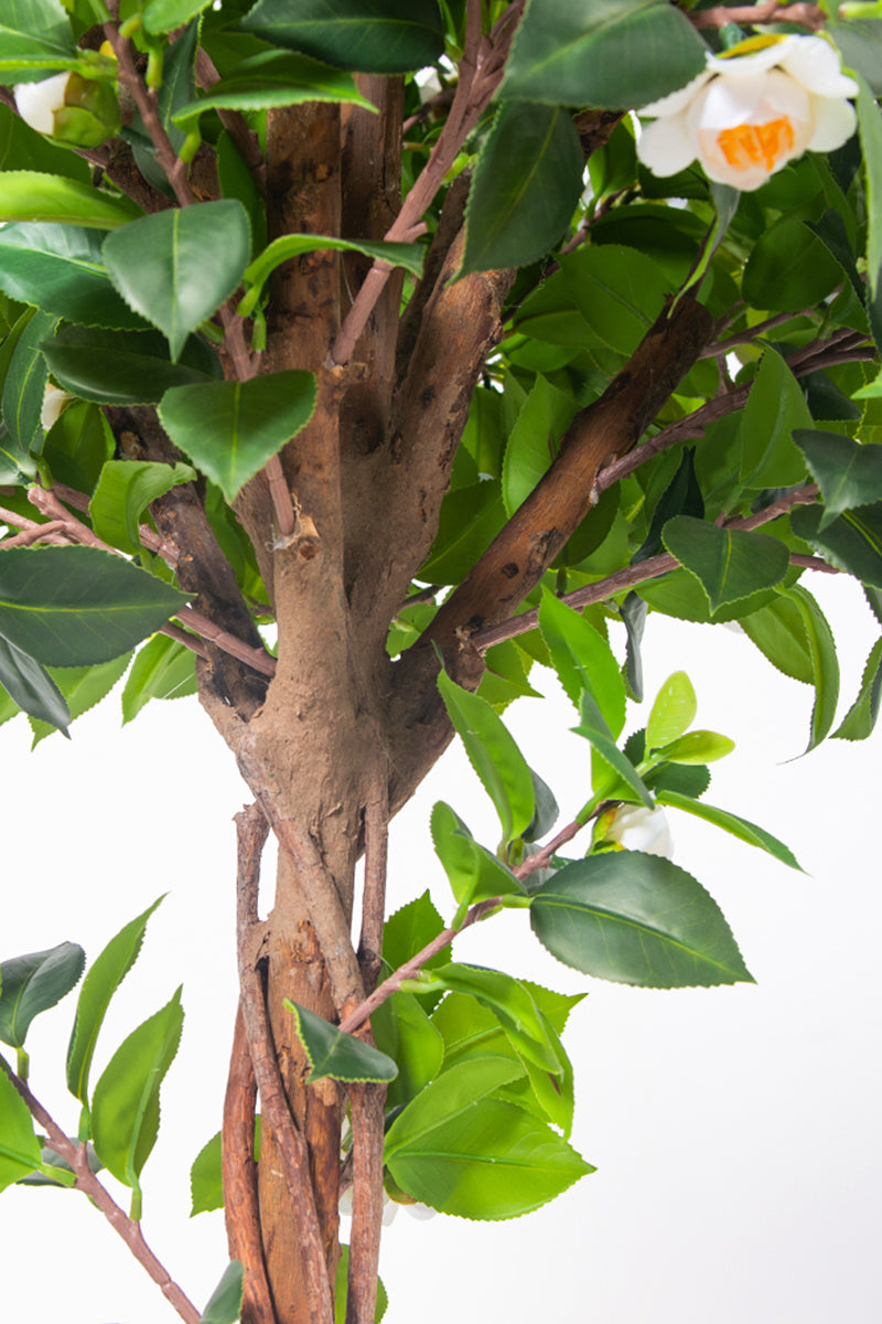 Artificial Camellia Tree with White Flowers and Realistic Trunk