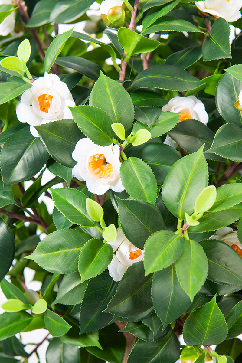 Artificial Camellia Tree with White Flowers and Realistic Trunk
