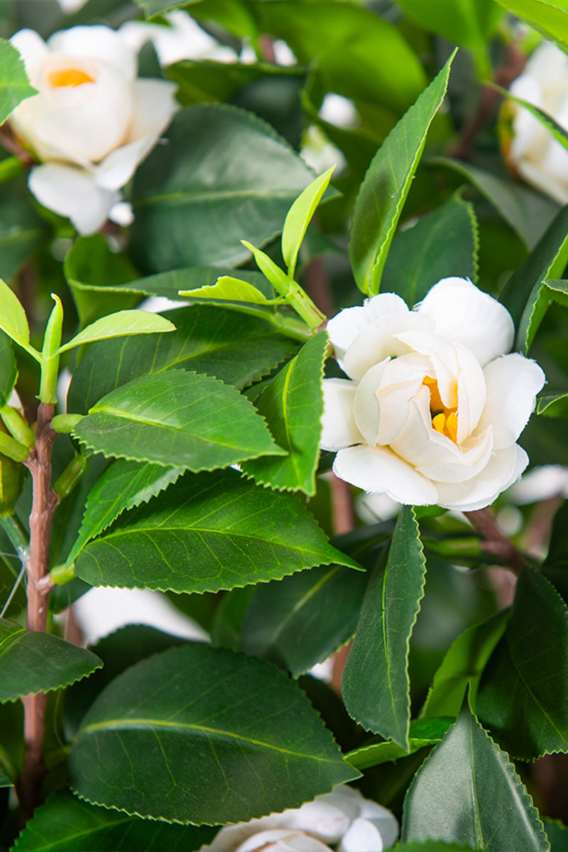 Artificial Camellia Tree with White Flowers and Realistic Trunk