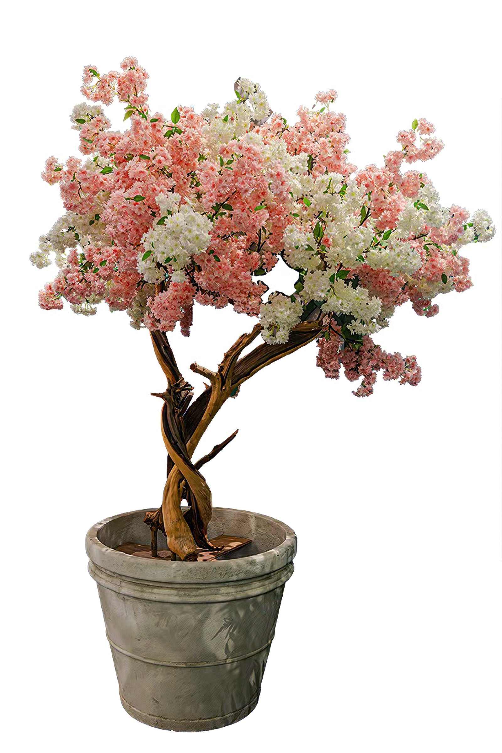 Cherry Blossom B: Large Artificial Cherry Blossom Tree with Blush Pink & Cream Flowers and Planter