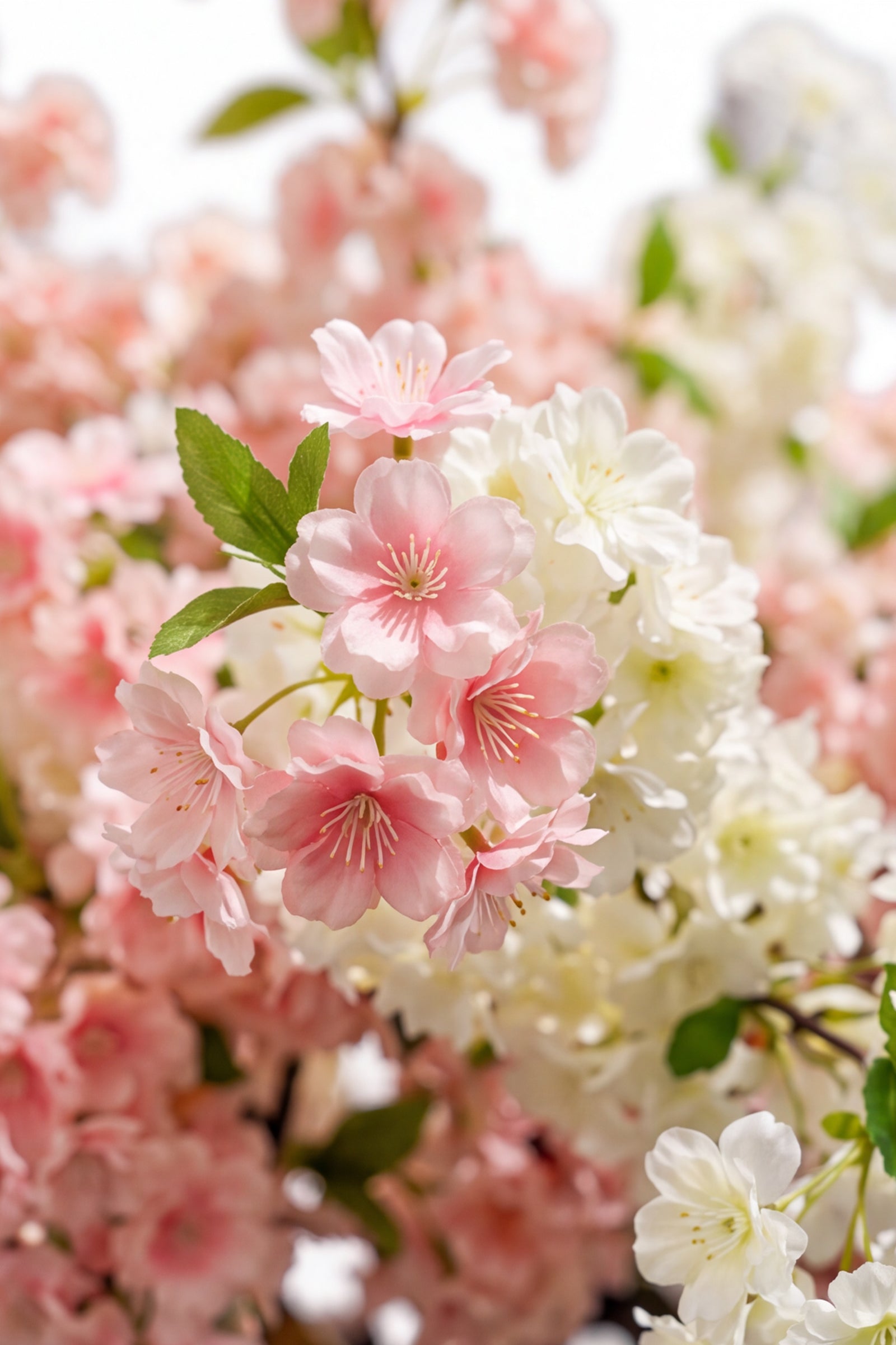 Cherry Blossom B: Large Artificial Cherry Blossom Tree with Blush Pink & Cream Flowers and Planter