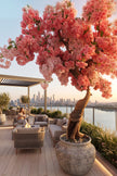 Cherry Blossom C: Large Artificial Cherry Blossom Tree with Coral Pink Flowers and Planter