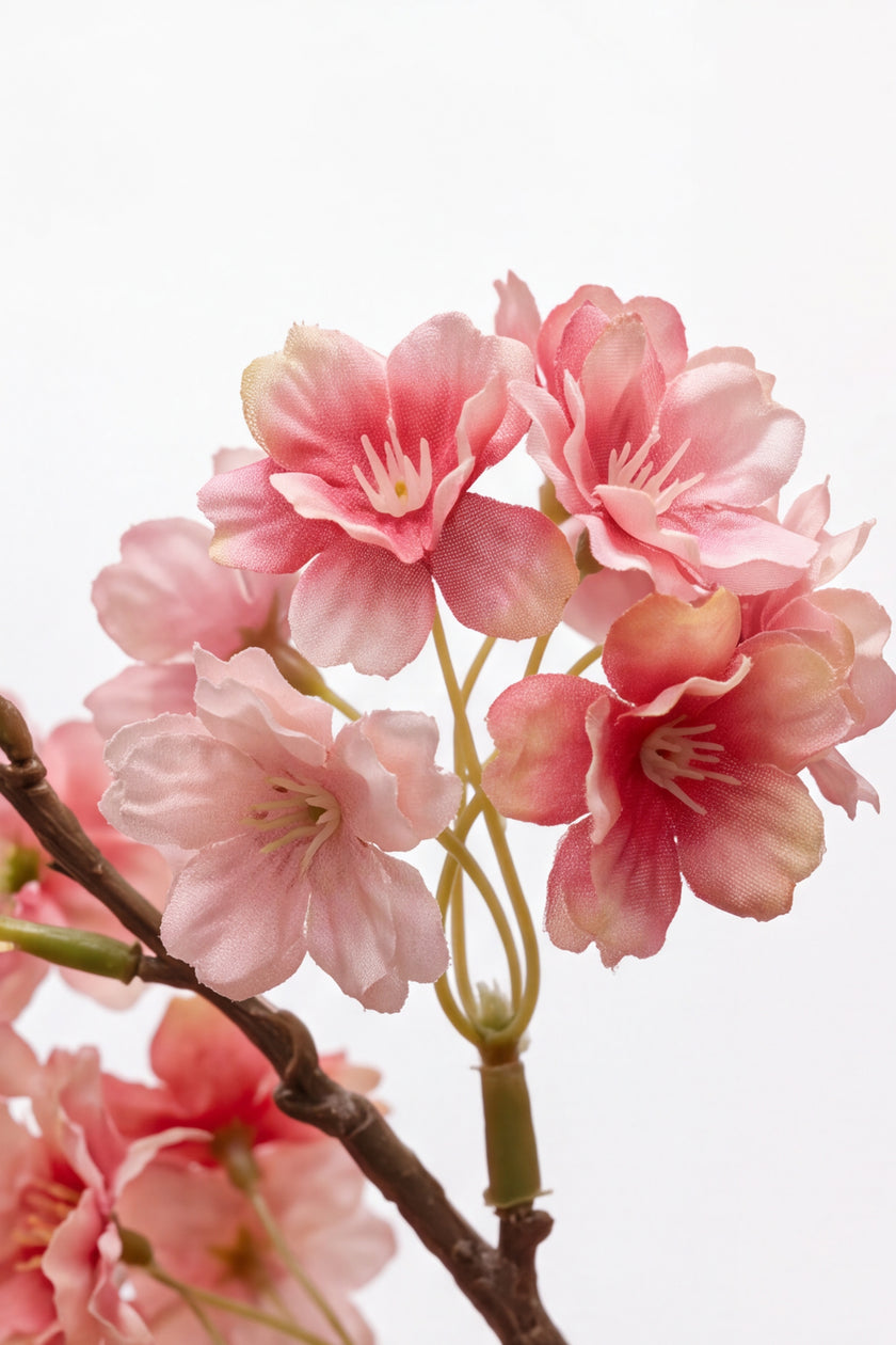 Cherry Blossom C: Large Artificial Cherry Blossom Tree with Coral Pink Flowers and Planter