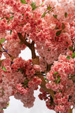 Cherry Blossom C: Large Artificial Cherry Blossom Tree with Coral Pink Flowers and Planter