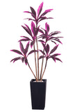 Dracaena Artificial Cordyline ‘Red Sister’ Tree