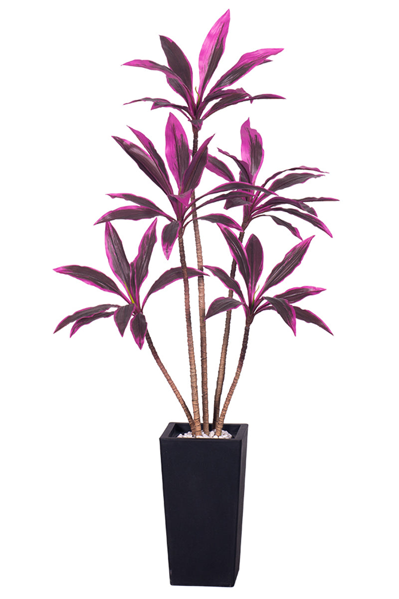 Dracaena Artificial Cordyline ‘Red Sister’ Tree