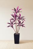 Dracaena Artificial Cordyline ‘Red Sister’ Tree