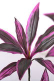 Dracaena Artificial Cordyline ‘Red Sister’ Tree