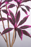 Dracaena Artificial Cordyline ‘Red Sister’ Tree