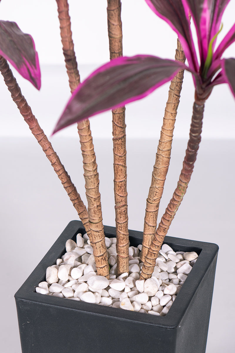 Dracaena Artificial Cordyline ‘Red Sister’ Tree