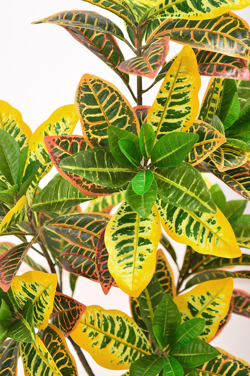 Artificial Croton Tree with Colorful Variegated Leaves