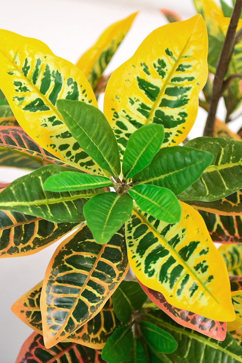 Artificial Croton Tree with Colorful Variegated Leaves