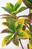 Artificial Croton Tree with Colorful Variegated Leaves
