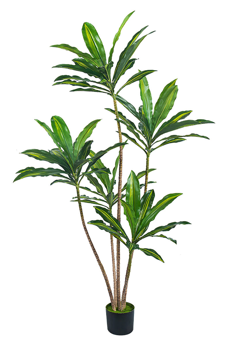 Dracaena Artificial Dragon Tree with Real-Touch Leaves