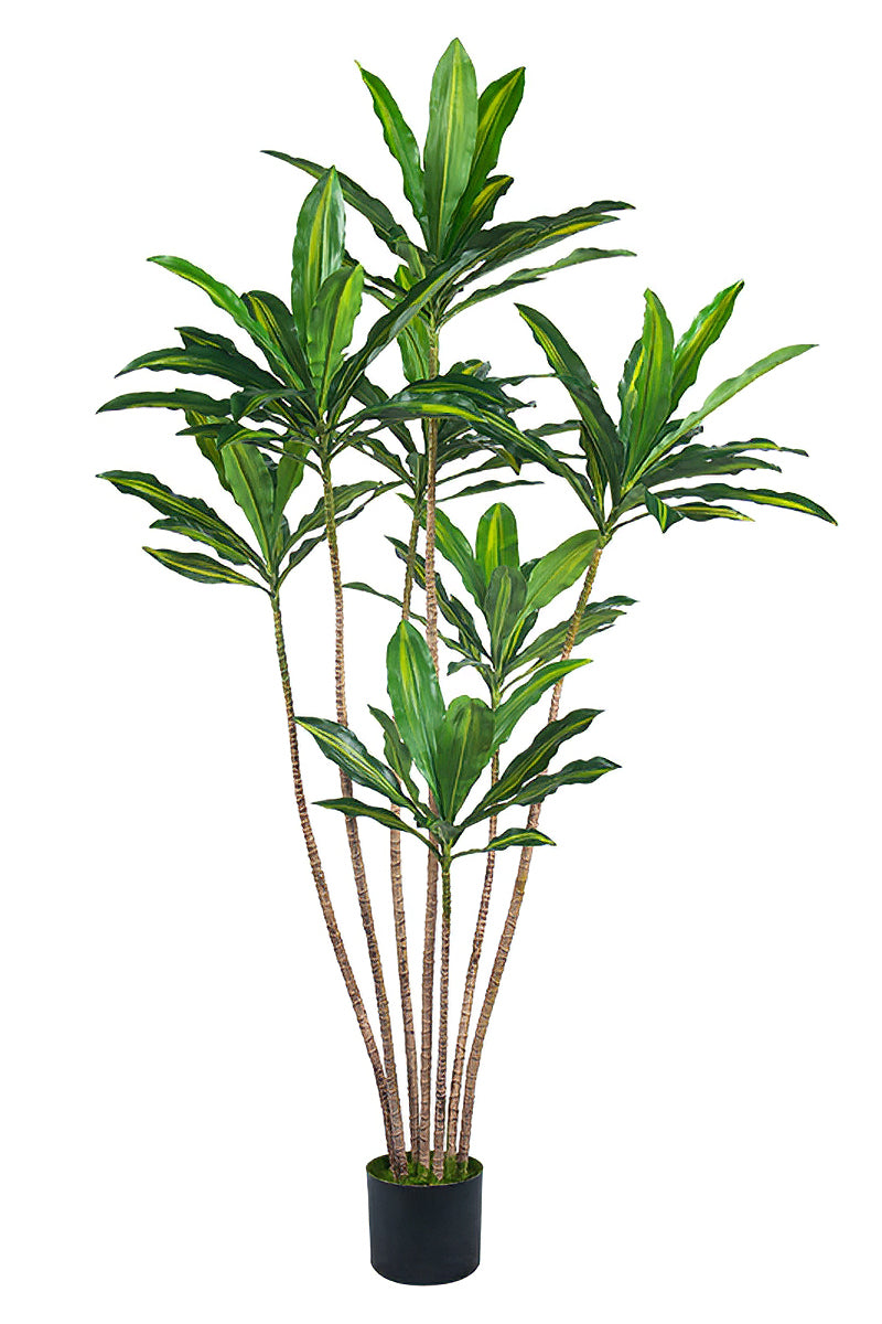 Dracaena Artificial Dragon Tree with Real-Touch Leaves
