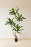 Dracaena Artificial Dragon Tree with Real-Touch Leaves