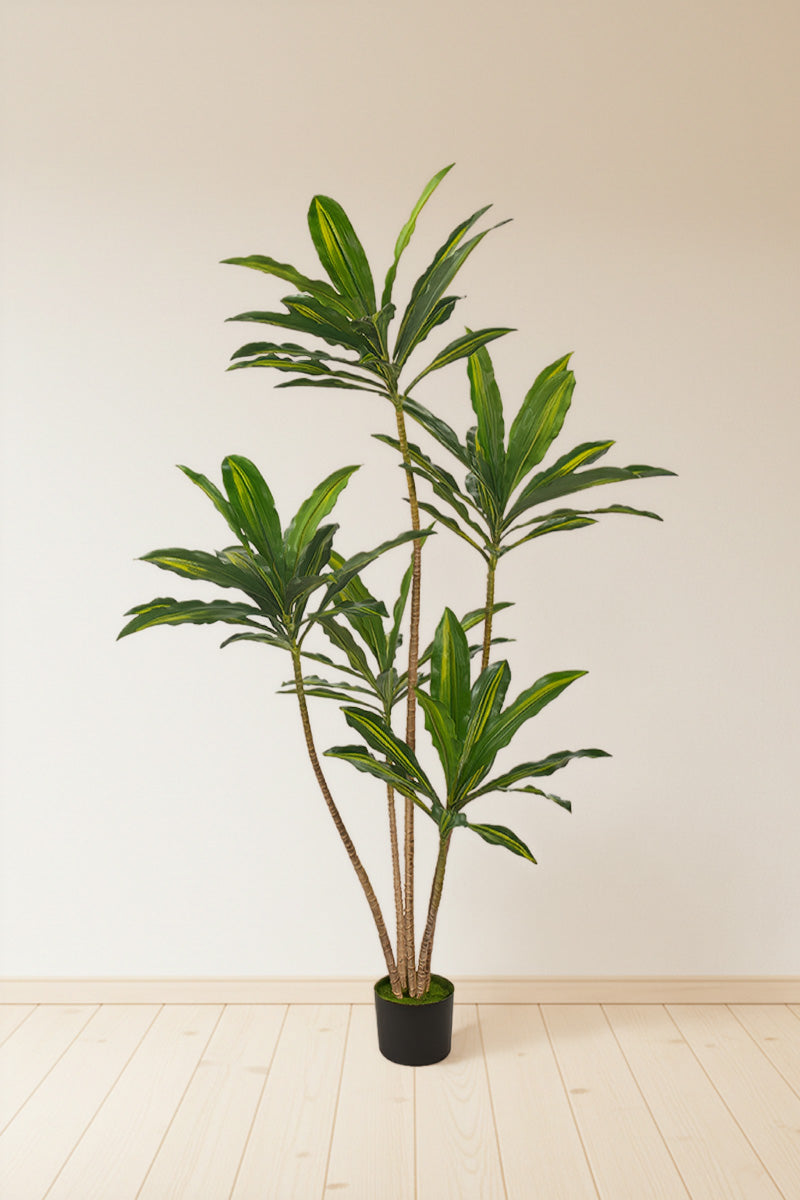 Dracaena Artificial Dragon Tree with Real-Touch Leaves
