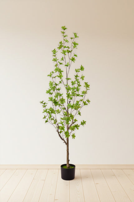 Enkianthus G: with Green Leaves