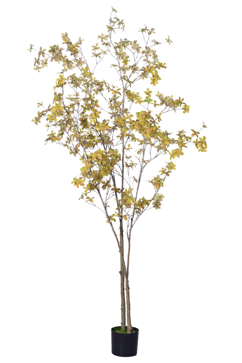 Enkianthus Y: Large Artificial Tree with Yellow Leaves