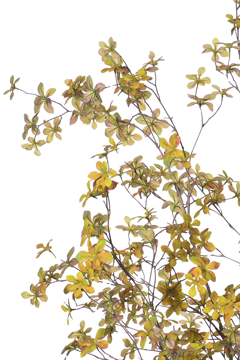Enkianthus Y: Large Artificial Tree with Yellow Leaves