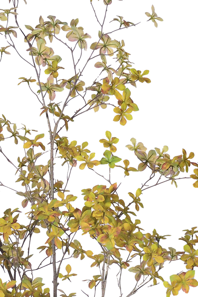 Enkianthus Y: Large Artificial Tree with Yellow Leaves