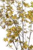 Enkianthus Y: Large Artificial Tree with Yellow Leaves