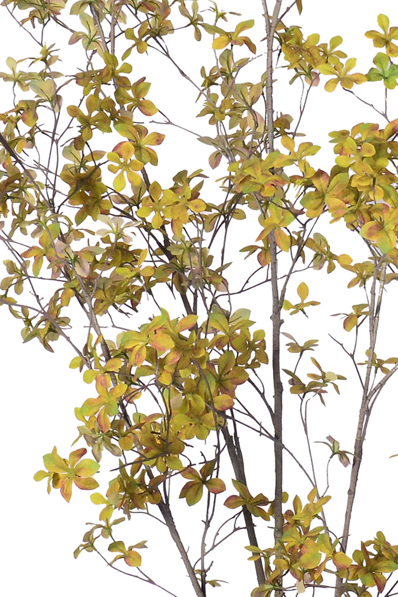 Enkianthus Y: Large Artificial Tree with Yellow Leaves