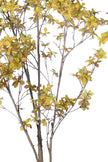 Enkianthus Y: Large Artificial Tree with Yellow Leaves