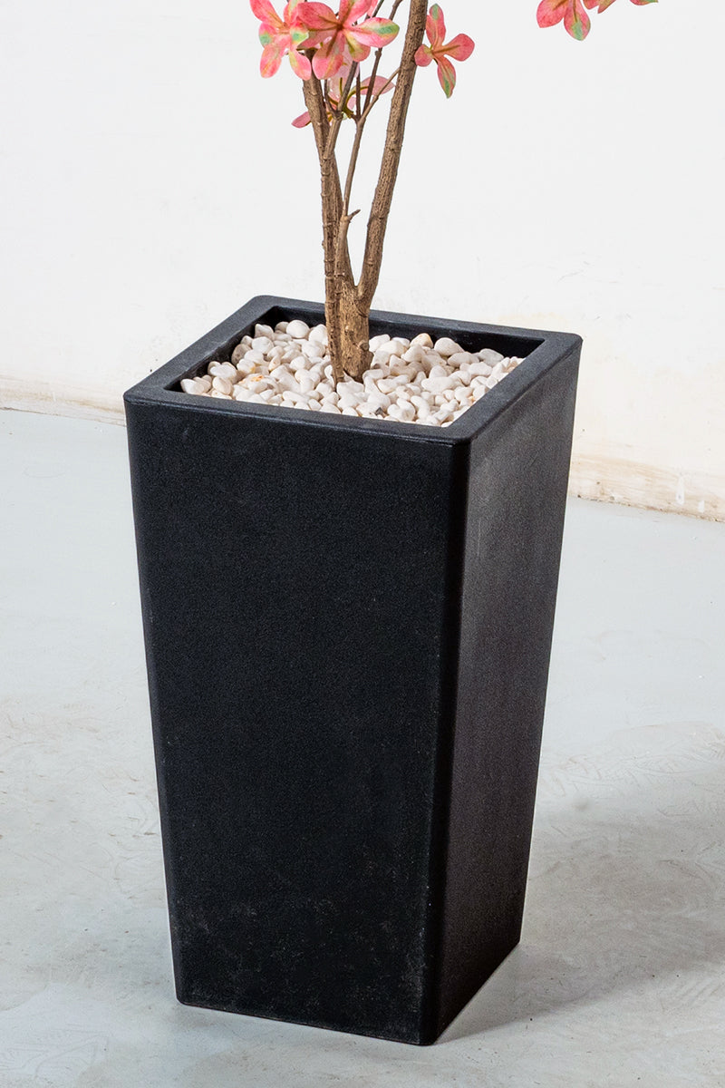 Enkianthus P: with Pink Leaves and Tall Black Planter