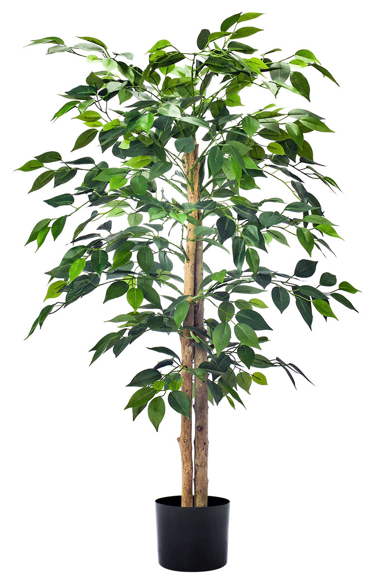 Ficus A: Artificial Ficus Tree with Realistic Trunk and Silk Leaves