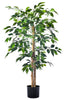 Ficus A: Artificial Ficus Tree with Realistic Trunk and Silk Leaves