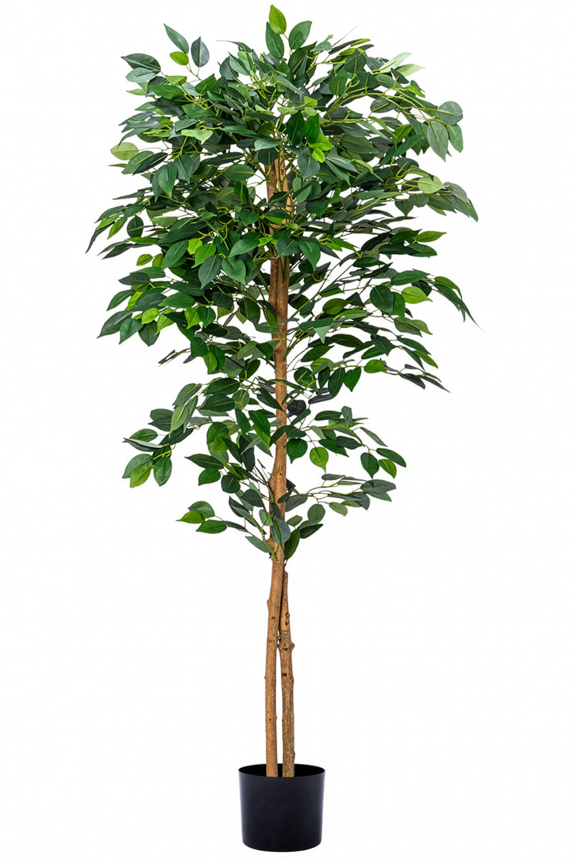 Ficus A: Kunst Ficusboom met Realistische Stam en Zijden Bladeren