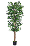 Ficus A: Artificial Ficus Tree with Realistic Trunk and Silk Leaves