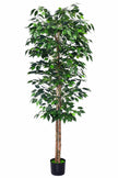 Ficus A: Kunst Ficusboom met Realistische Stam en Zijden Bladeren