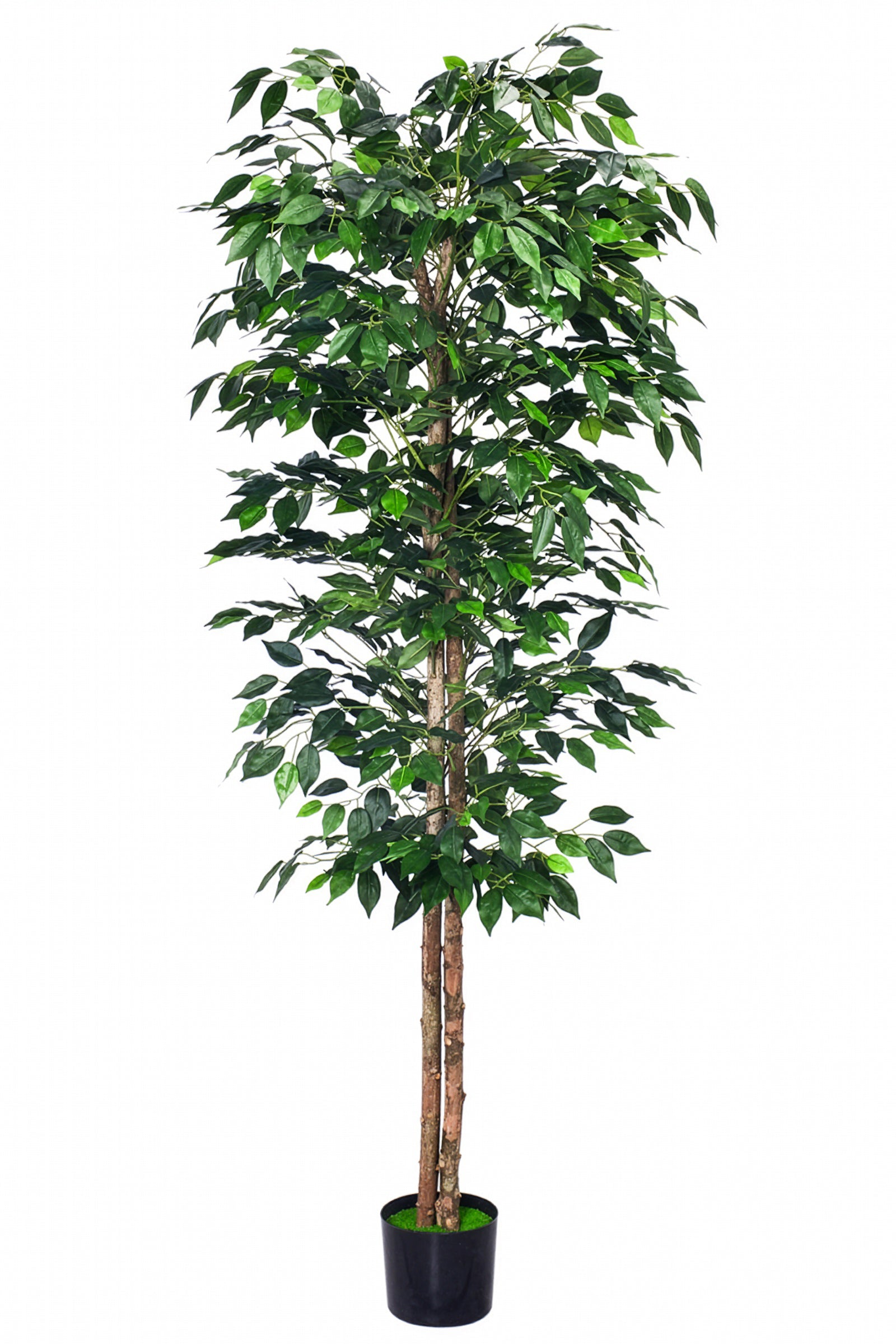 Ficus A: Kunst Ficusboom met Realistische Stam en Zijden Bladeren