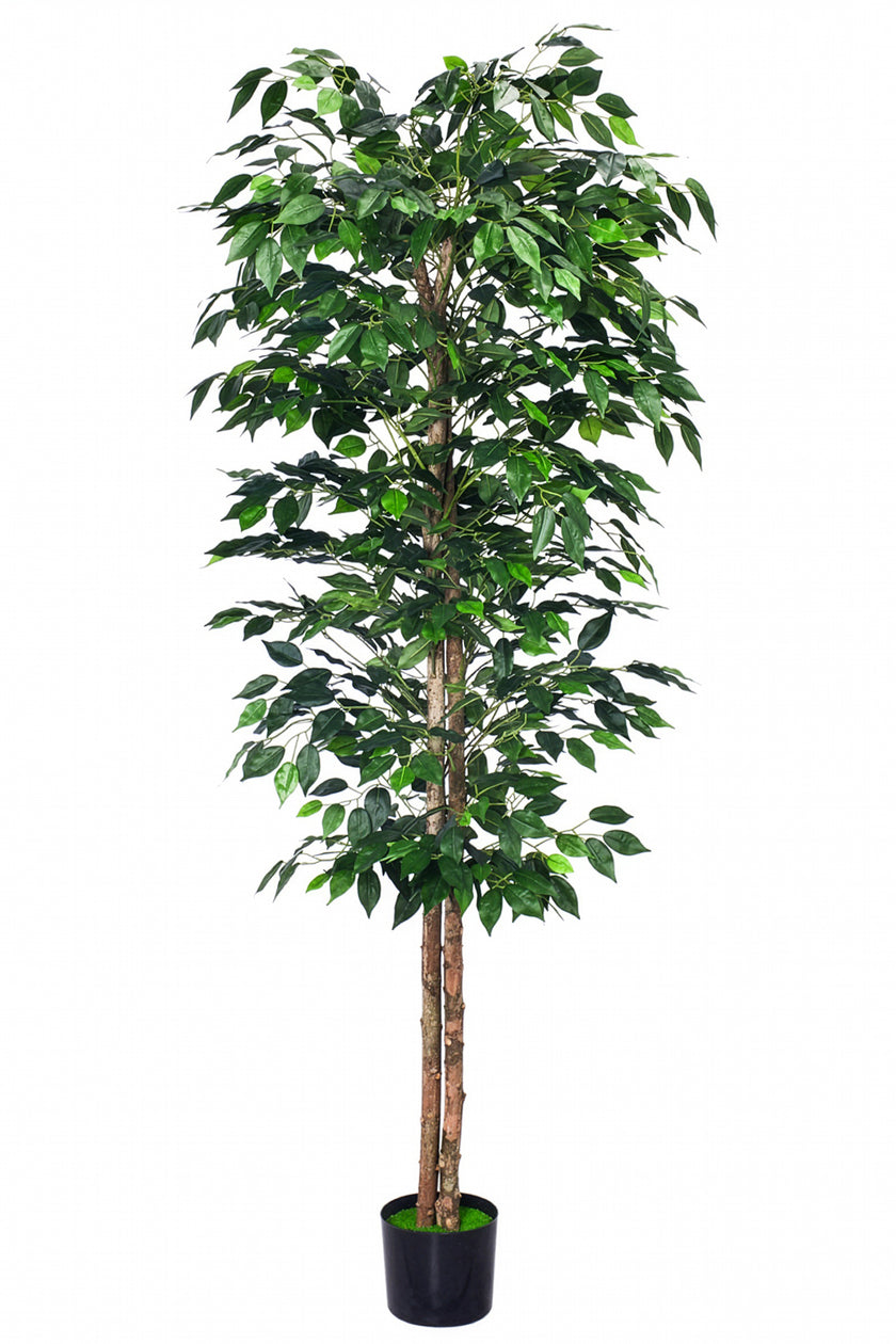 Ficus A: Kunst Ficusboom met Realistische Stam en Zijden Bladeren