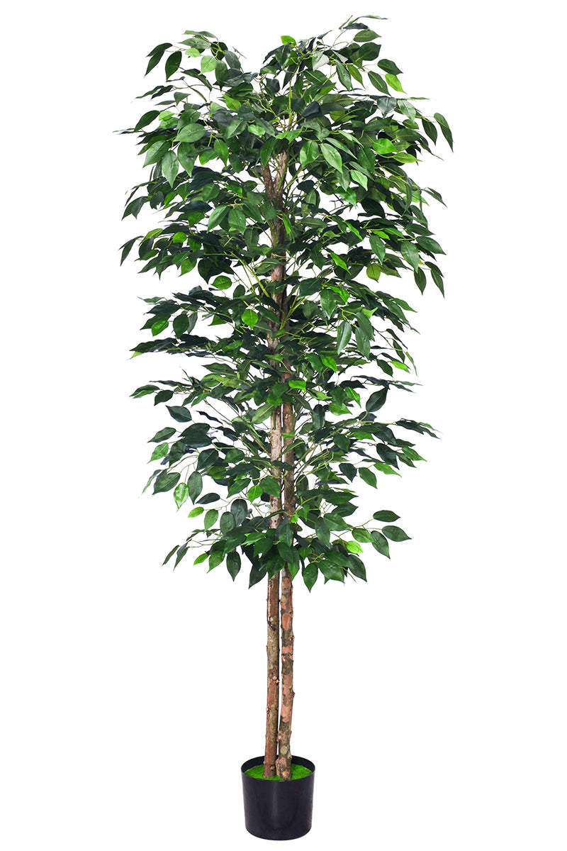 Ficus A: Artificial Ficus Tree with Realistic Trunk and Silk Leaves