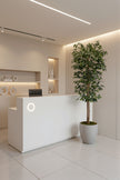 Ficus A: Kunst Ficusboom met Realistische Stam en Zijden Bladeren