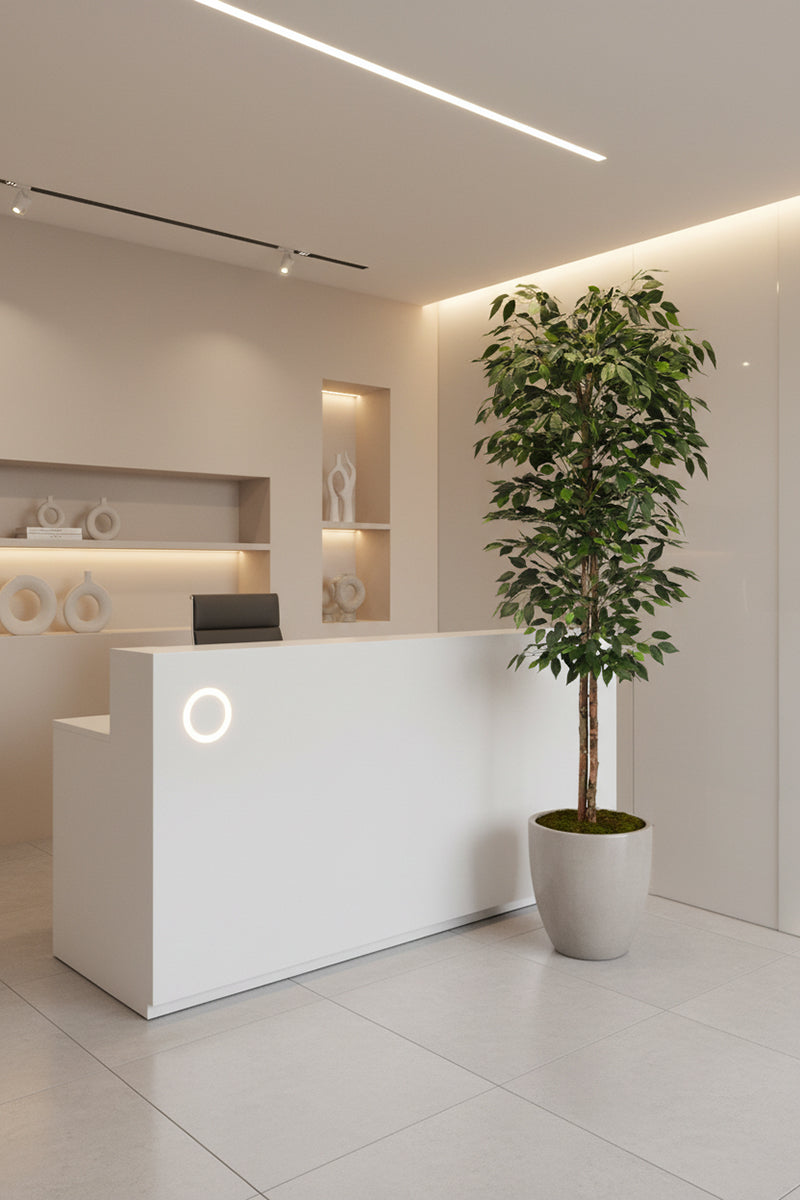 Ficus A: Artificial Ficus Tree with Realistic Trunk and Silk Leaves
