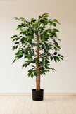 Ficus A: Kunst Ficusboom met Realistische Stam en Zijden Bladeren