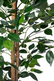 Ficus A: Kunst Ficusboom met Realistische Stam en Zijden Bladeren