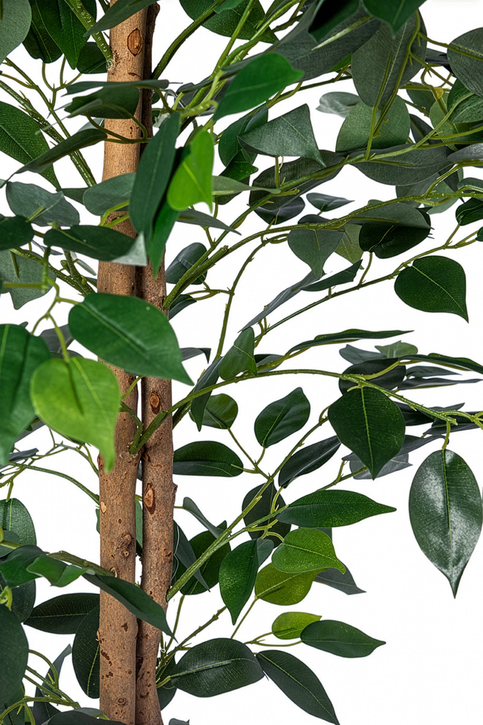 Ficus A: Kunst Ficusboom met Realistische Stam en Zijden Bladeren