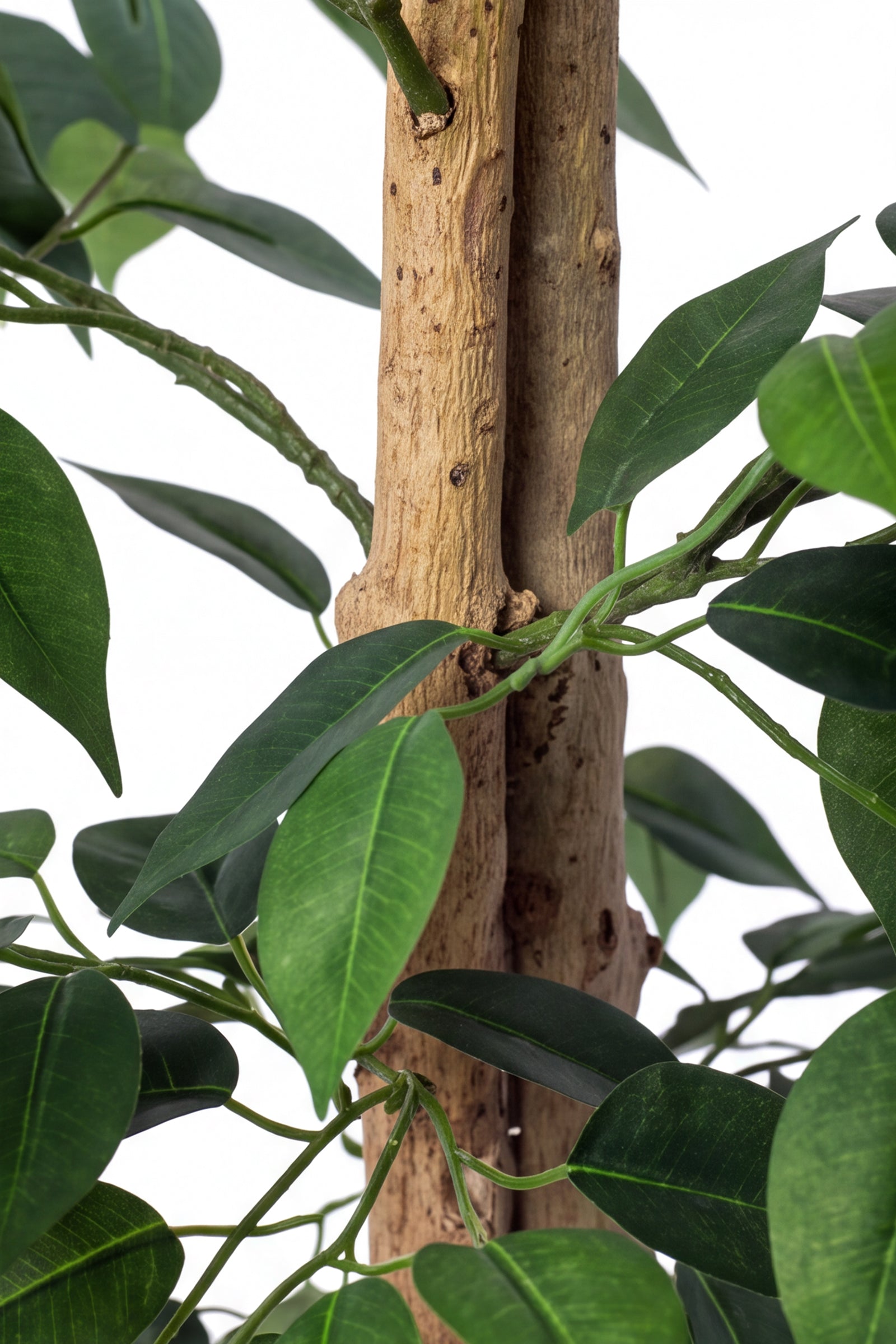 Ficus A: Kunst Ficusboom met Realistische Stam en Zijden Bladeren