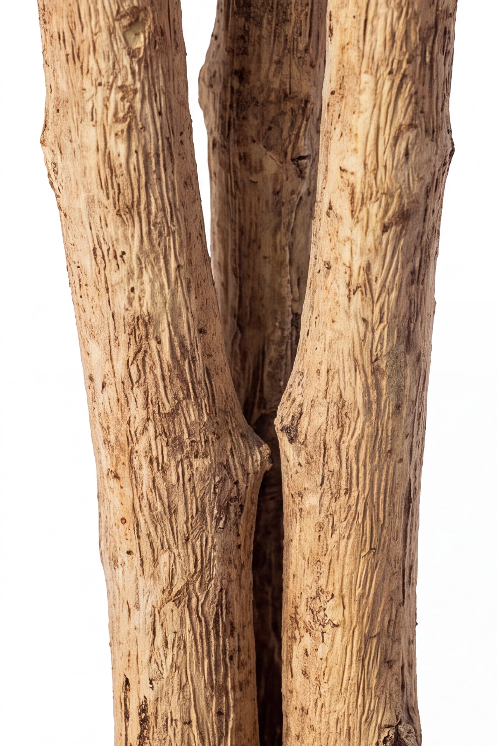 Ficus A: Kunst Ficusboom met Realistische Stam en Zijden Bladeren