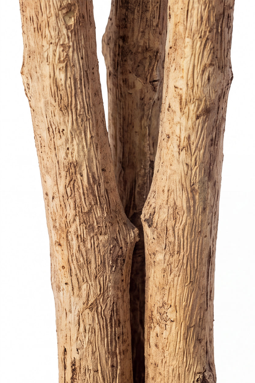 Ficus A: Kunst Ficusboom met Realistische Stam en Zijden Bladeren