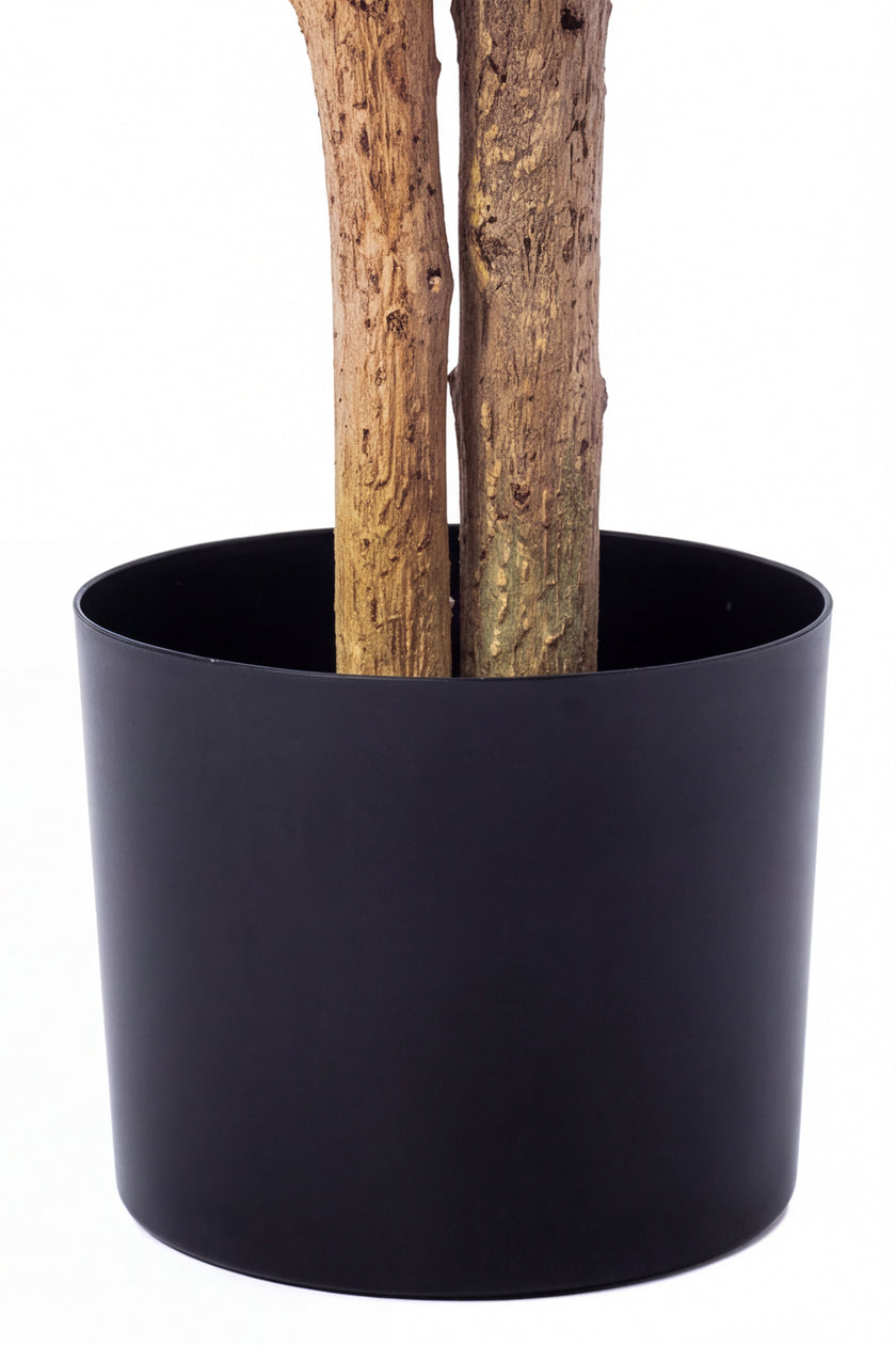 Ficus A: Kunst Ficusboom met Realistische Stam en Zijden Bladeren